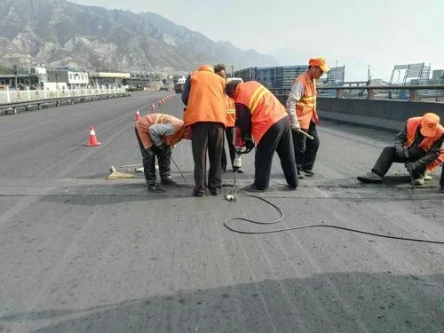 甘孜道路桥梁病害治理